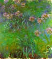 Agapanthus Claude Monet Impressionism Flowers